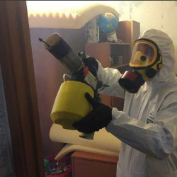 Уничтожение клопов в квартире. Хорошёвская